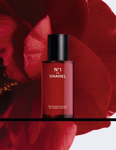 róża chanel no 1|chanel camellia.